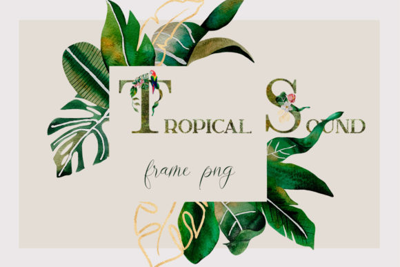Download Clipart Jungle Frame - Art Collection