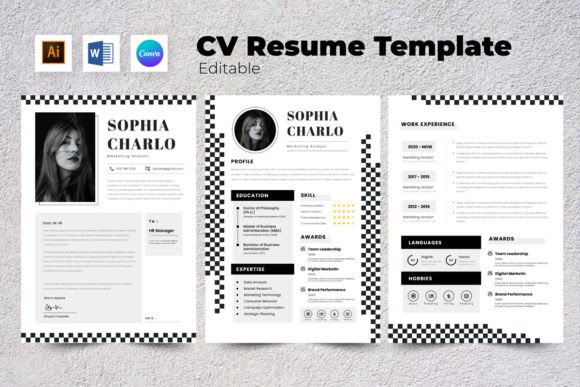 Download Resume / CV Marketing Analyst V5 - Market Collection